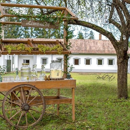 Green Paradise Vendeg Es Rendezvenyhaz Apartment Szentpeterfa Екстериор снимка