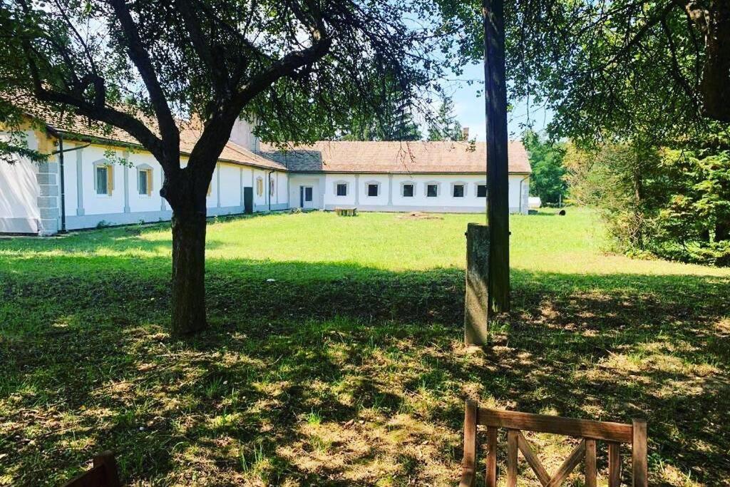 Green Paradise Vendeg Es Rendezvenyhaz Apartment Szentpeterfa Екстериор снимка