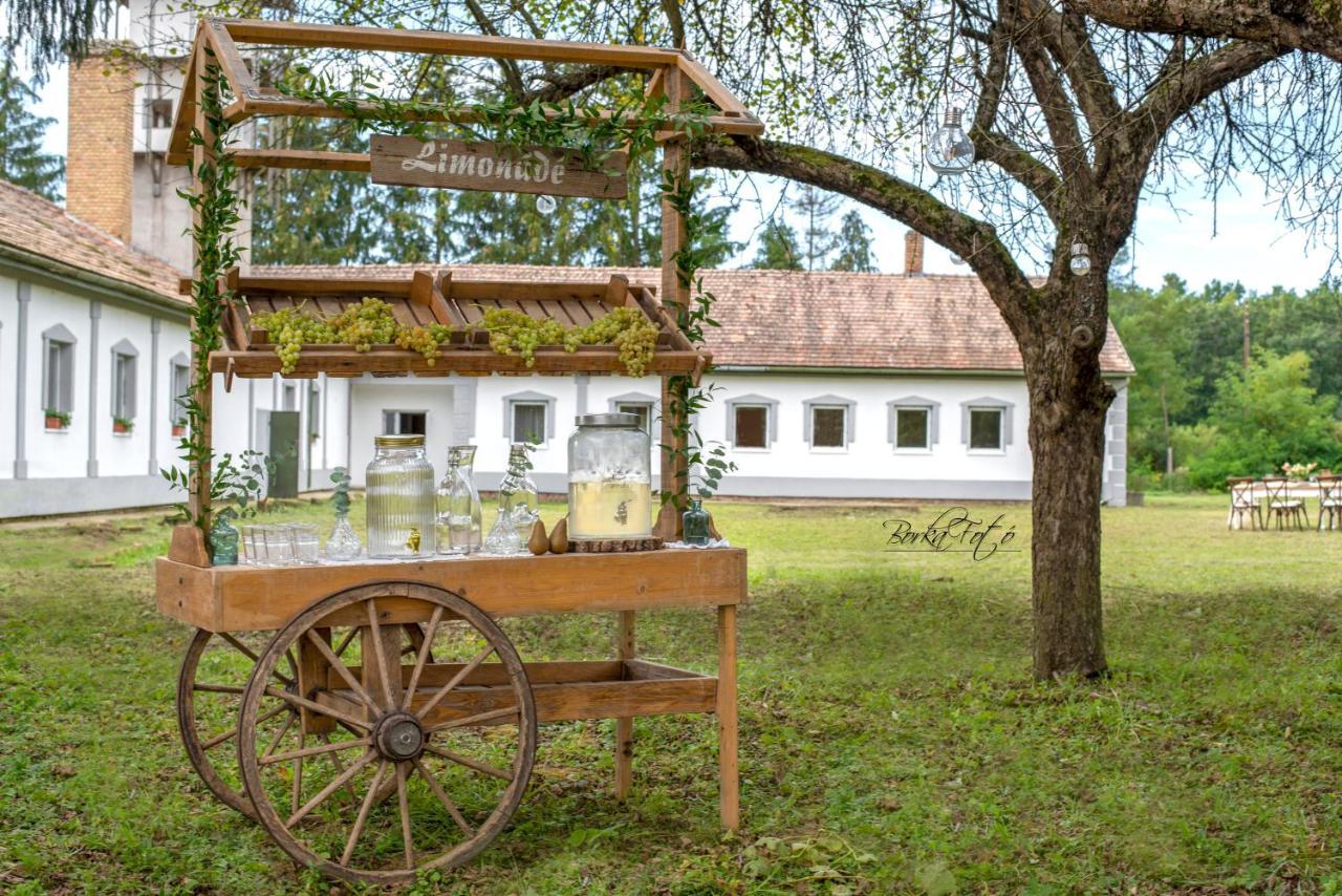 Green Paradise Vendeg Es Rendezvenyhaz Apartment Szentpeterfa Екстериор снимка
