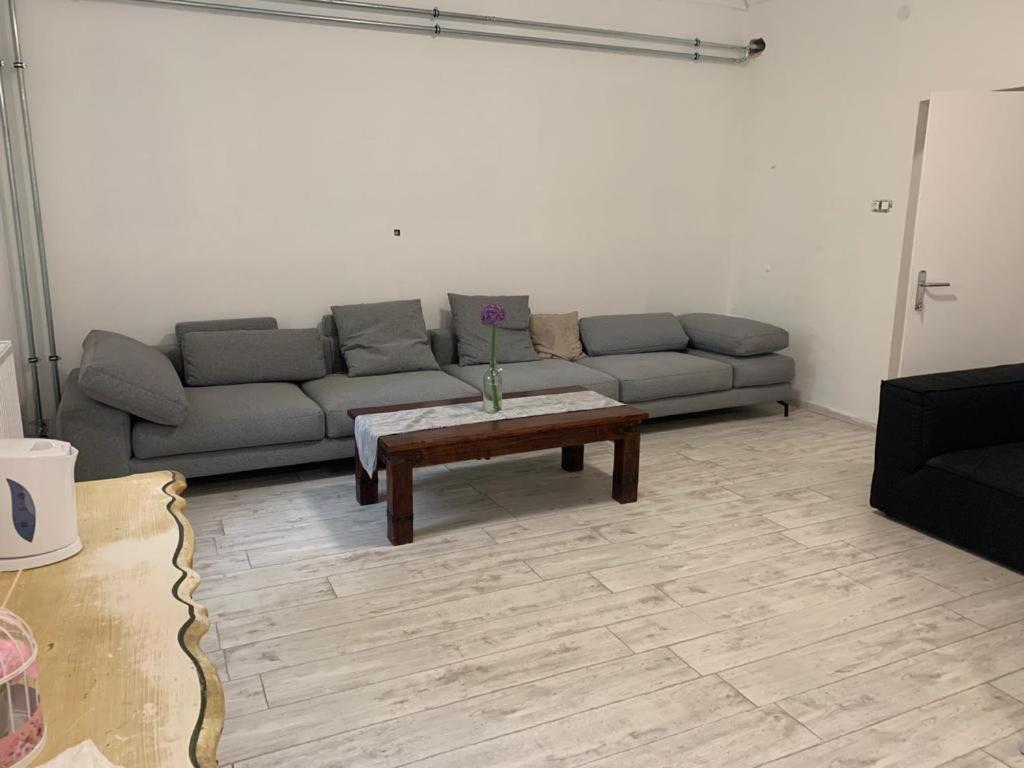 Green Paradise Vendeg Es Rendezvenyhaz Apartment Szentpeterfa Екстериор снимка